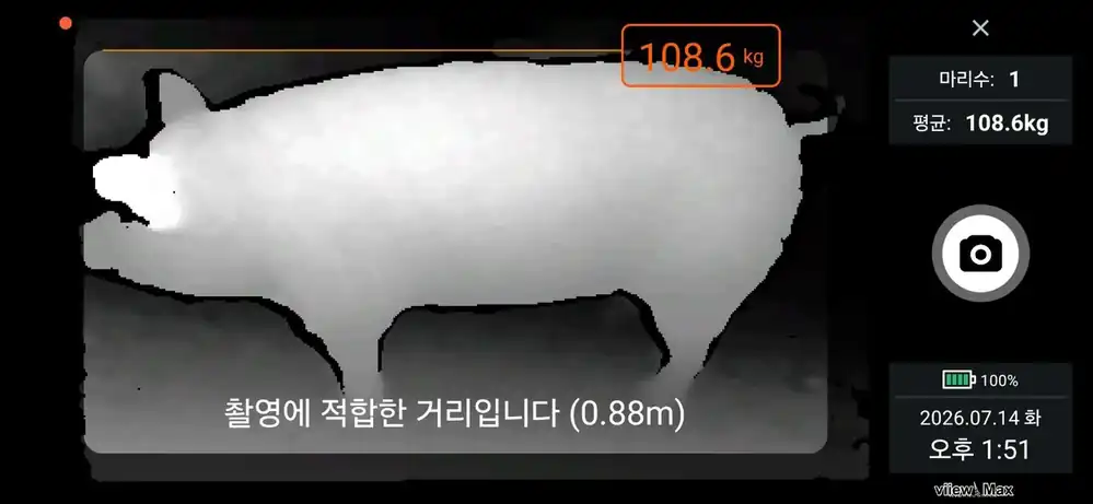 Viiew Max Scan 앱 체중 측정 화면 예시
